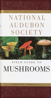 The National Audubon Society Field Guide to North American Mushrooms 1