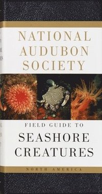 bokomslag National Audubon Society Field Guide to Seashore Creatures: North America