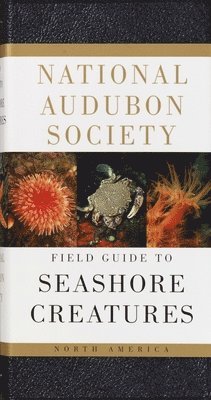 bokomslag National Audubon Society Field Guide to Seashore Creatures: North America