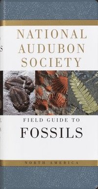 bokomslag National Audubon Society Field Guide To Fossils