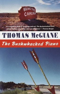 bokomslag The Bushwhacked Piano