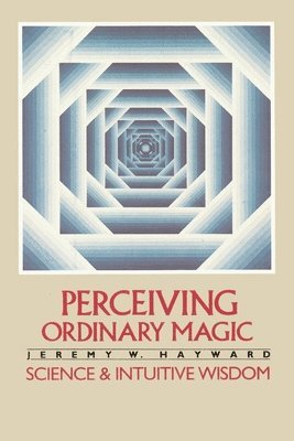 bokomslag Perceiving Ordinary Magic