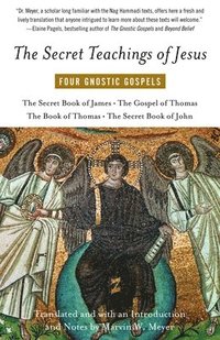 bokomslag The Secret Teachings of Jesus: Four Gnostic Gospels