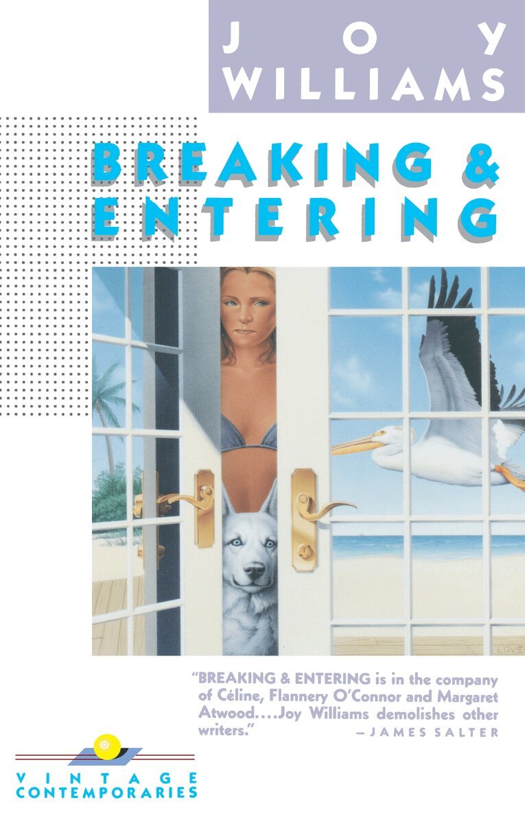 Joy Williams - Breaking and Entering, Häftad