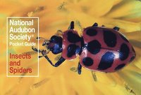 bokomslag National Audubon Society Pocket Guide: Insects and Spiders