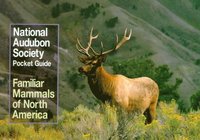 bokomslag National Audubon Society Pocket Guide to Familiar Mammals
