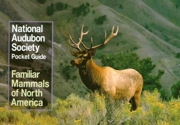 National Audubon Society Pocket Guide to Familiar Mammals 1