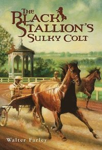bokomslag The Black Stallion's Sulky Colt