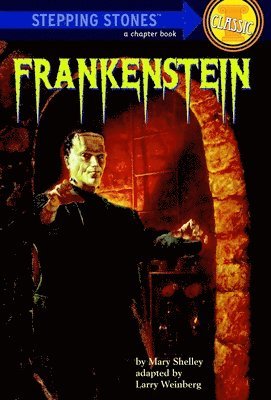 bokomslag Frankenstein