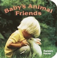 Phoebe Dunn - Baby's Animal Friends, Inbunden