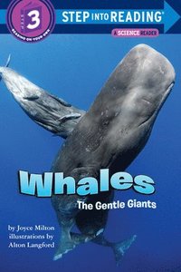 bokomslag Whales, the Gentle Giants