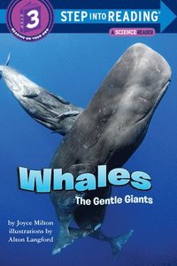 bokomslag Whales: The Gentle Giants