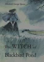 bokomslag The Witch of Blackbird Pond: A Newbery Award Winner