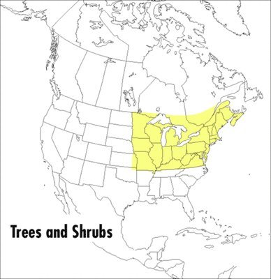 A Field Guide to Trees and Shrubs: Northeastern and North-Central United States and Southeastern and South-Central Canada