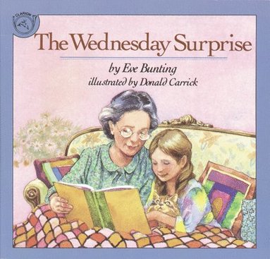 bokomslag Wednesday Surprise