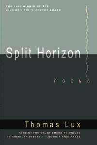 bokomslag Split Horizon Pa