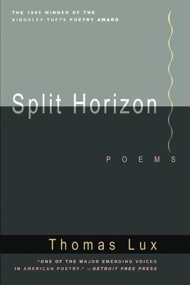 bokomslag Split Horizon