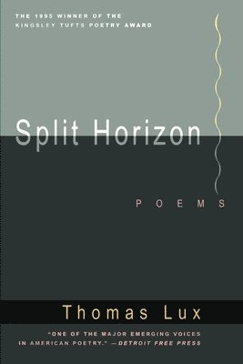 bokomslag Split Horizon Pa