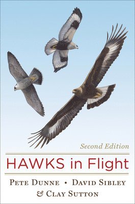 bokomslag Hawks in Flight