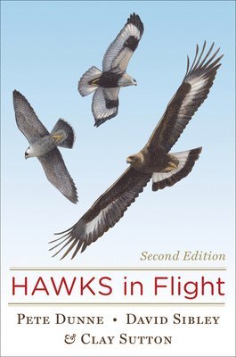 Hawks In Flight 1