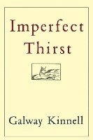 bokomslag Imperfect Thirst
