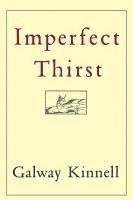 bokomslag Imperfect Thirst