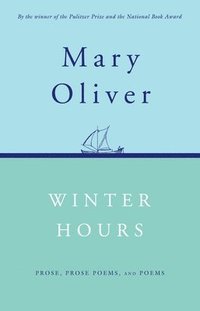 bokomslag Winter Hours