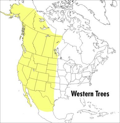 Olivia Petrides, Roger Tory Peterson - A Peterson Field Guide to Western Trees: Western United States and Canada, Häftad