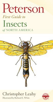 Roger Tory Peterson, Richard E. White - Peterson First Guide to Insects, Häftad