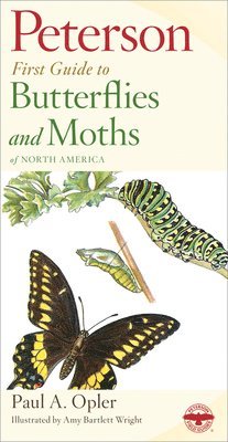 Paul A. Opler - Peterson First Guide to Butterflies and Moths, Häftad