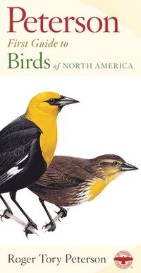 bokomslag First Guide to Birds