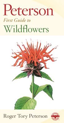 First Guide to Wildflowers 1