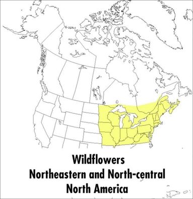 Roger Tory Peterson - Peterson Field Guide To Wildflowers, A, Häftad