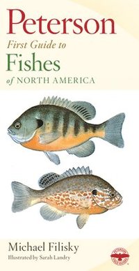 bokomslag Peterson First Guide to Fishes of North America