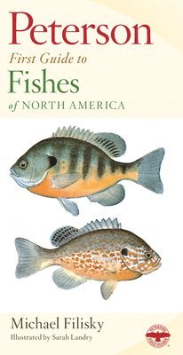 bokomslag Peterson First Guide to Fishes of North America