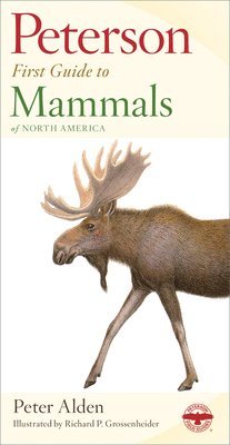 bokomslag Peterson First Guide to Mammals of North America
