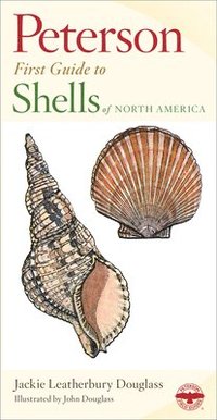 bokomslag Shells of North America