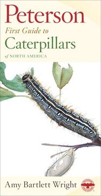 bokomslag Peterson First Guide to Caterpillars of North America