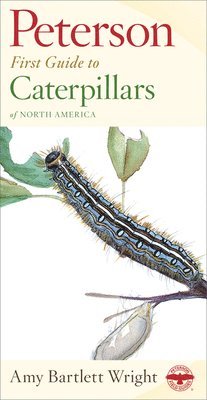 bokomslag Peterson First Guide to Caterpillars of North America