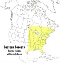 bokomslag A Peterson Field Guide to Eastern Forests: North America