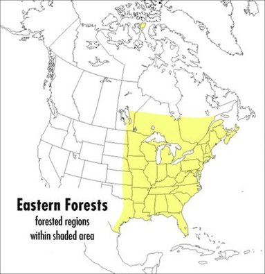 bokomslag A Peterson Field Guide to Eastern Forests: North America