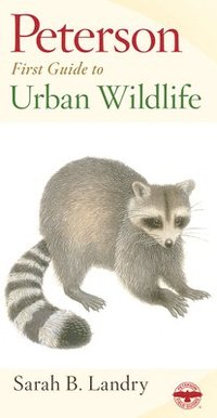 bokomslag Peterson First Guide to Urban Wildlife