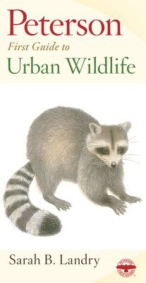 Peterson First Guide to Urban Wildlife 1