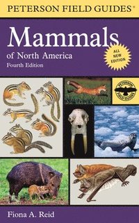 bokomslag Peterson Field Guide To Mammals Of North