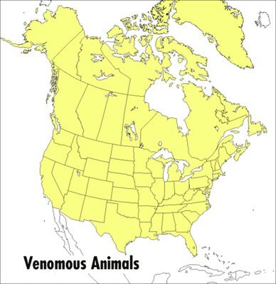 Venemous Animals 1