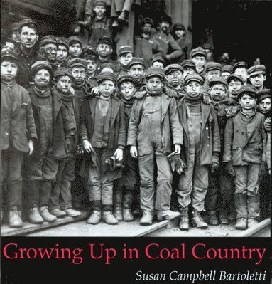 bokomslag Growing Up in Coal Country