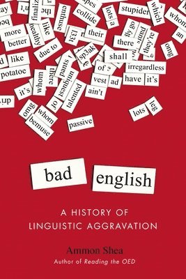 bokomslag Bad English: A History of Linguistic Aggravation