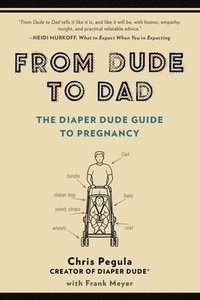 bokomslag From Dude to Dad