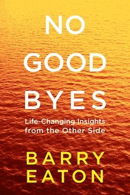 bokomslag No Goodbyes