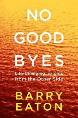 bokomslag No Goodbyes: No Goodbyes: Life-Changing Insights from the Other Side